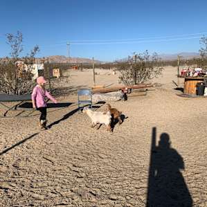 Camping with the Stars! Site 4