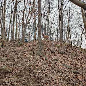 Ironwood Trail & Private Campsite