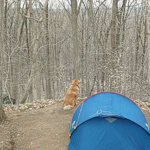Ironwood Trail & Private Campsite