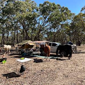 Farmland Camp
