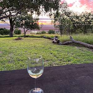 FigTree Camping with Amenities