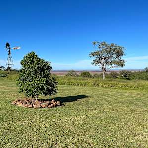 FigTree Camping with Amenities