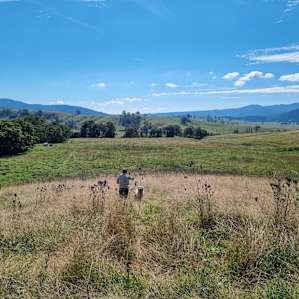 Wombat Haven Creek