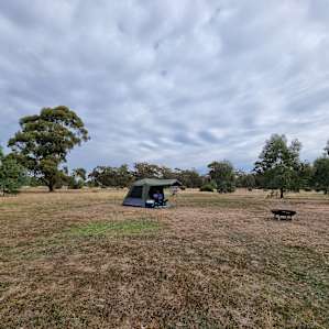 Woodland Views Camping Area