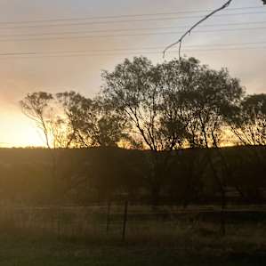 lovely sunset