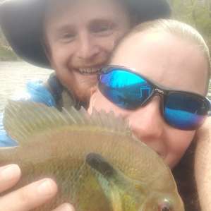 The sunfish are Giant in here