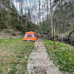 pathway to tent set up