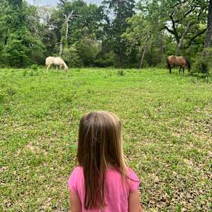 4C Ranch Adventure