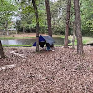 Trees or Stars, Swim Lake & More