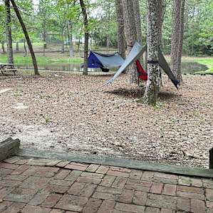 Trees or Stars, Swim Lake & More
