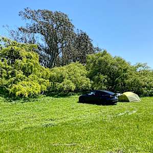 Site 4 of The Meadow Grove
