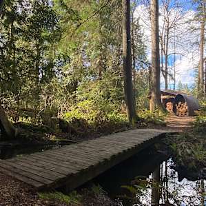 Raspberry Cabin Retreat