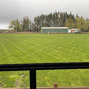 Beautiful Lawn