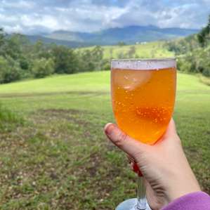Mountain View Campsites