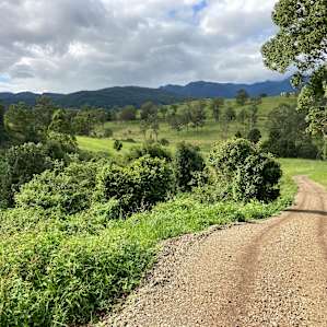 Mountain View Campsites