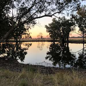 Ben Hall Creek Camp