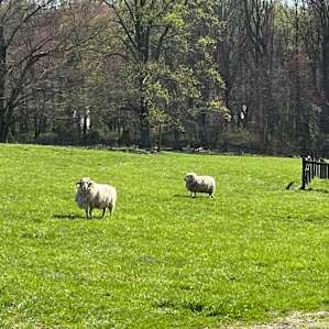 Scenic Turtle Ridge