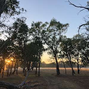 Camping on the banks of Moore River