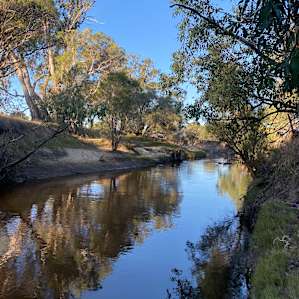 Camping on the banks of Moore River