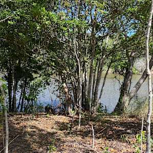 Charlie Darwins Nature Park