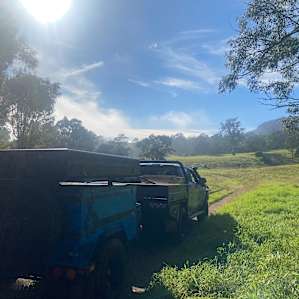 Rose Gum Farm