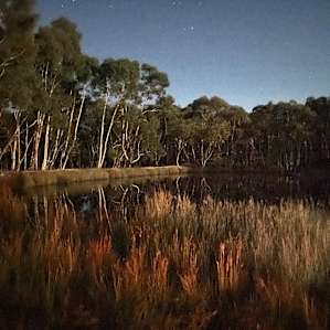 Blue Moon Camp