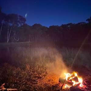 Blue Moon Camp