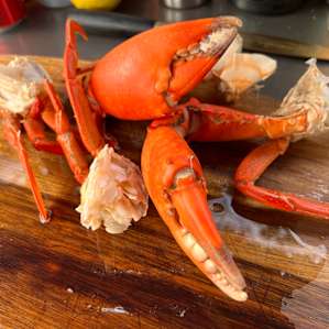 Managed to get some mud crabs for entree