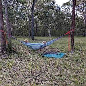 Ironbark Ranch - Free Range