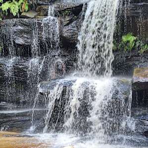 This waterfall is about 10 min drive away and dog friendly. Short muddy walk with leeches but pretty