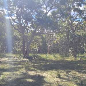 The top campsite, nice dry paddock despite recent rain. The lower campsite had better views but no toilet and felt less remote.
