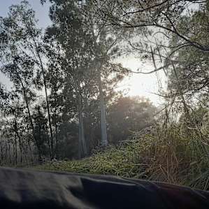 Wombat Haven Creek