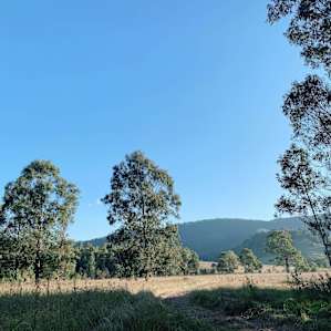 Wombat Haven Creek