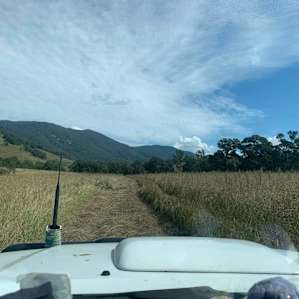 Wombat Haven Creek
