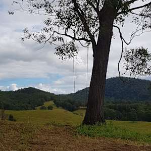 Frogs creek campsite