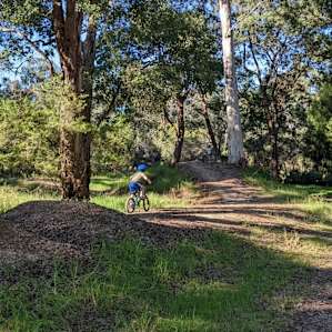 BMX pump track