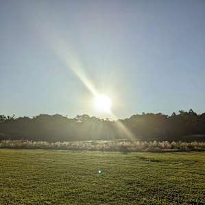 Sunset on the farmlet