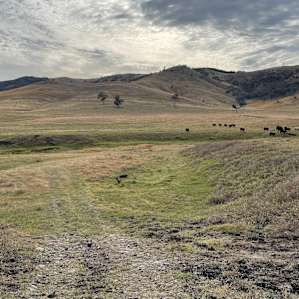 Escape Farm Camping