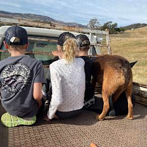 Escape Farm Camping