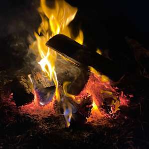 Amazona Camp