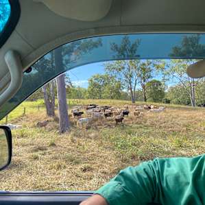 Rosehill Munna Creek Camp