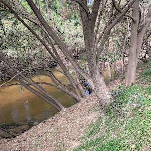 Rosehill Munna Creek Camp