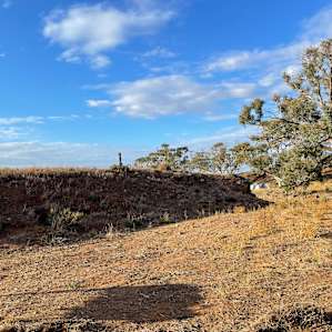 Wombat Creek Camp