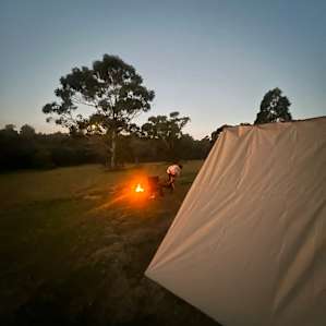 The Hundred Acre Woods Camp