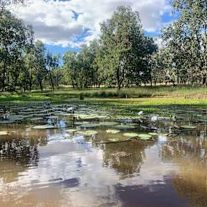 Clover Hill Camp grounds