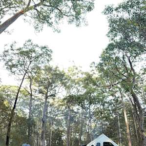 Camping amongst the trees.