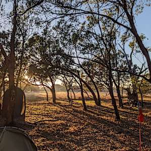 Camping on the banks of Moore River
