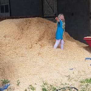 The wood chip pile was a huge hit!