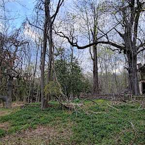 To the side of the campsite is an abandoned house, so noisy neighbors.
