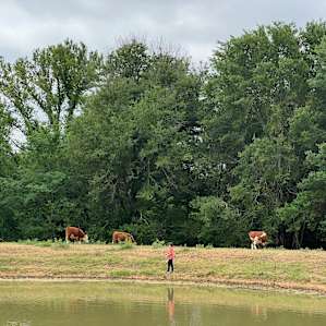 4C Ranch Adventure